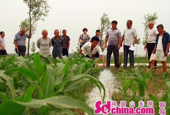 農民看著灌溉水流出，紛紛拍手叫好